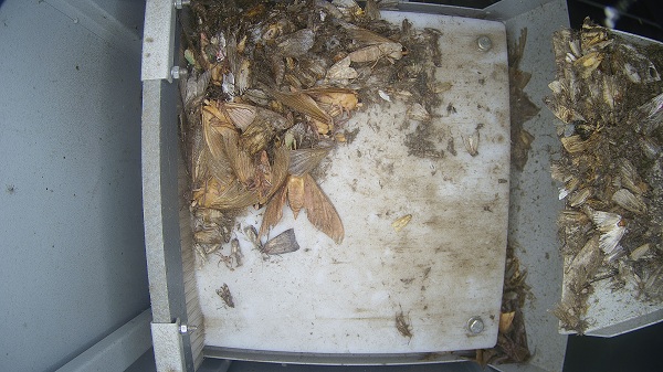 物聯(lián)網(wǎng)蟲情測報燈圖片2 物聯(lián)網(wǎng)蟲情測報燈圖片2