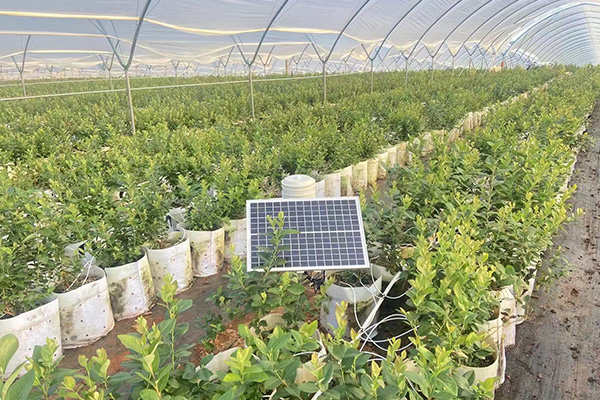 氣象環(huán)境監(jiān)測系統(tǒng)圖 氣象環(huán)境監(jiān)測系統(tǒng)圖