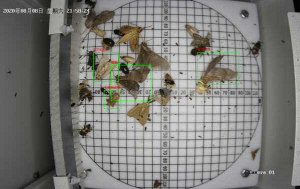 遠程拍照式蟲情測報燈圖片3 遠程拍照式蟲情測報燈圖片3