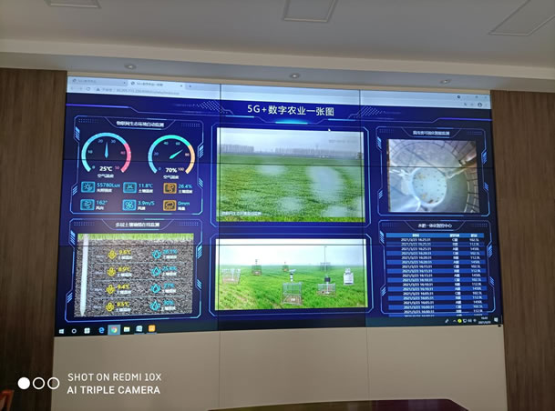 2021河南鶴壁?？h國(guó)營(yíng)農(nóng)場(chǎng)